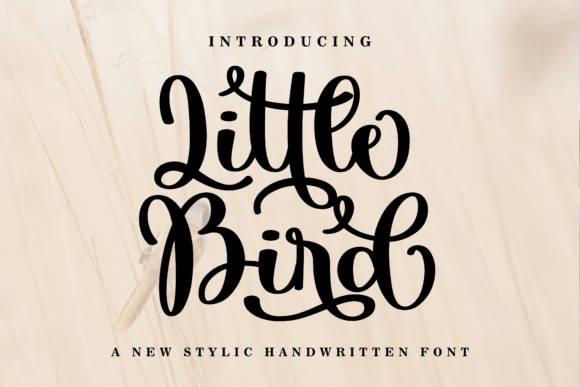 Little Bird: A Charming Script Font for Elegant Designs